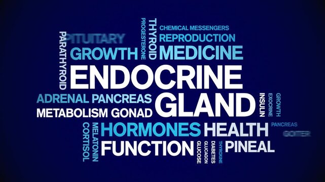Endocrine Gland animated word cloud-animation tag kinetic typography seamless loop.