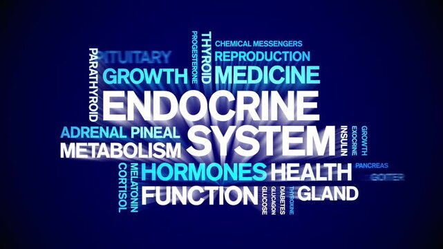Endocrine System animated word cloud-animation tag kinetic typography seamless loop.