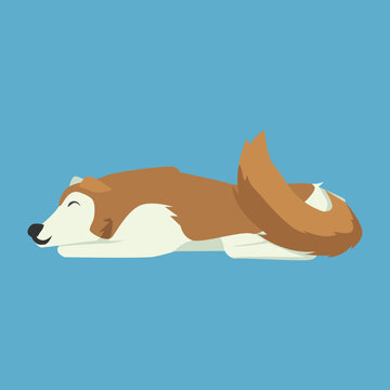 A flat design cartoon illustration of a happy sleeping Shiba Inu dog lying on a blue background.