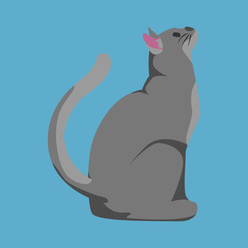 A stylized gray cat sits with its tail curled, head tilted upward, mouth open, on a blue background.