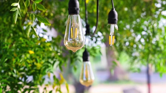 Decorative hanging Edison bulb string lights glowing against green foliage slow motion 180fps Captured in Cinematic High Detail Footage