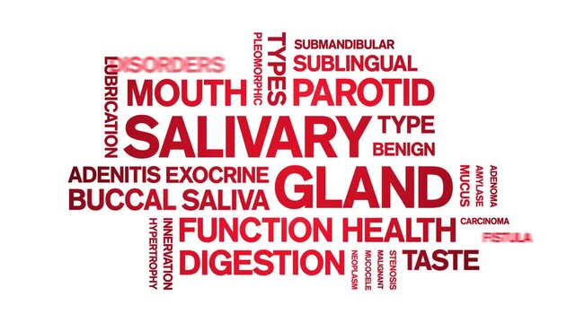 Salivary Gland animated word cloud-animation tag kinetic typography seamless loop.