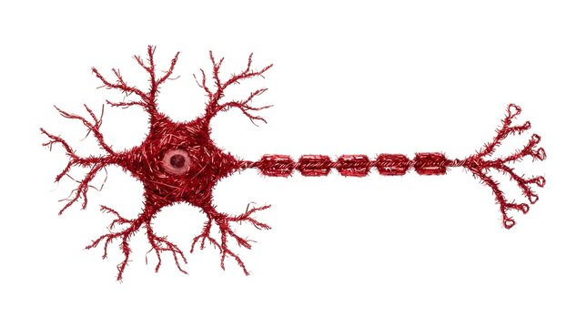Neuron cell structure made of red Christmas tinsel isolated on a white background