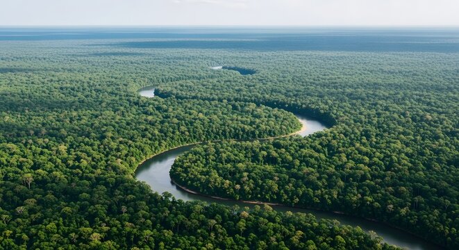 Aerial view of amazon river winding through lush green rainforest under vast blue sky with distant horizon.