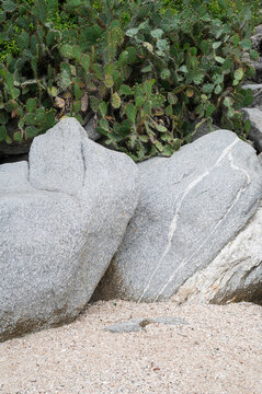Large grey coastal rocks, prickly pear cactus, and sandy beach foreground.
