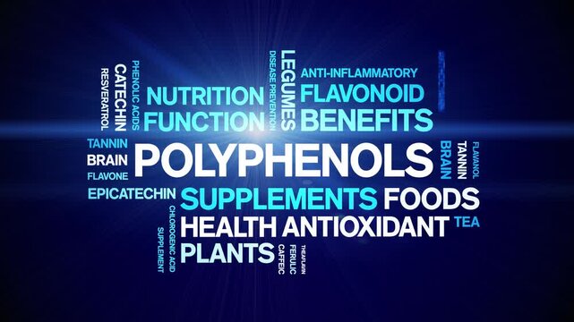 Polyphenols animated word cloud-animation tag kinetic typography seamless loop.