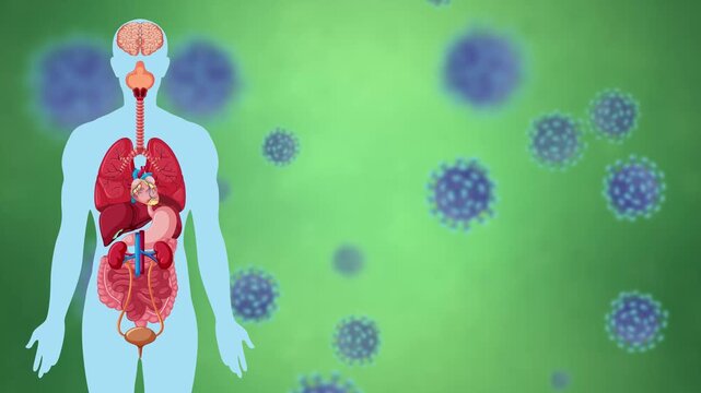 Animated Human Anatomy Silhouette with Drifting Virus Cells Background
