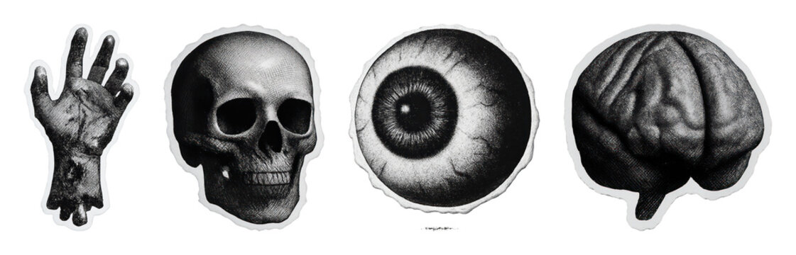 PNG Vintage anatomical illustrations of human body parts, transparent background