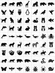 Fototapeta premium Large Collection of 64 Animal Silhouettes Vector Icons Set for Web and Graphic Design Projects