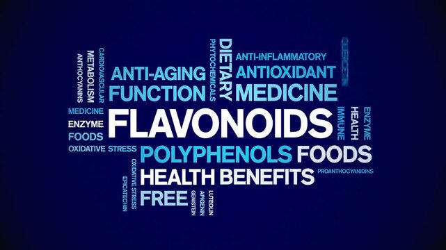 Flavonoids animated word cloud-animation tag kinetic typography seamless loop.