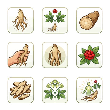 Ginseng Root and Herbal Plant Icon Set for Health Supplements and Traditional Medicine
