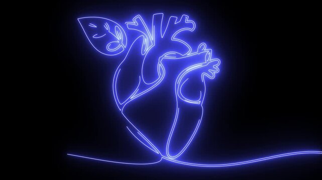 Continuous glowing blue neon line art animation human anatomical heart leaf black background