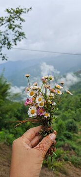 holding a bouquet of flowers in the mountain 