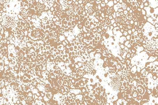 Abstract organic pattern with intricate cellular structures in soft tan and white tones for background design