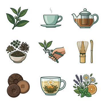 Comprehensive tea culture and brewing set with icons of leaves, teapot, matcha tools, and herbs.