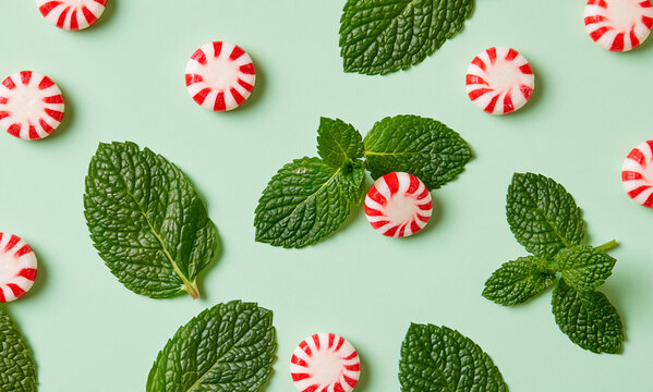 peppermint leaves and peppermint candies