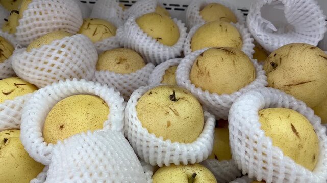 Fresh Asian pears wrapped in white protective foam mesh at marketplace