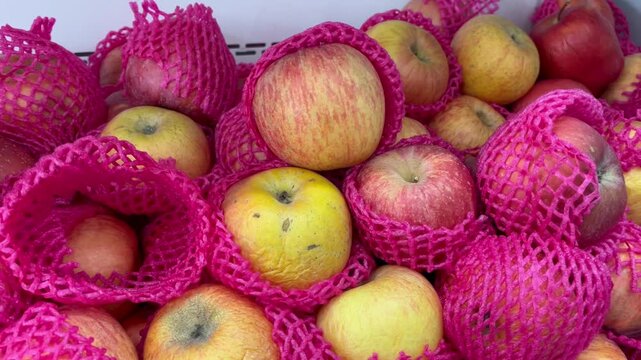 Fresh Red and Yellow Apples Wrapped in Pink Foam Net Protective Sleeves