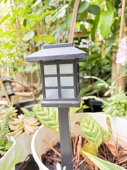 japanese lantern in garden © Fern