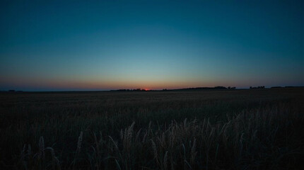 Obraz premium Minimal Veterans Day landscape featuring quiet field at twilight