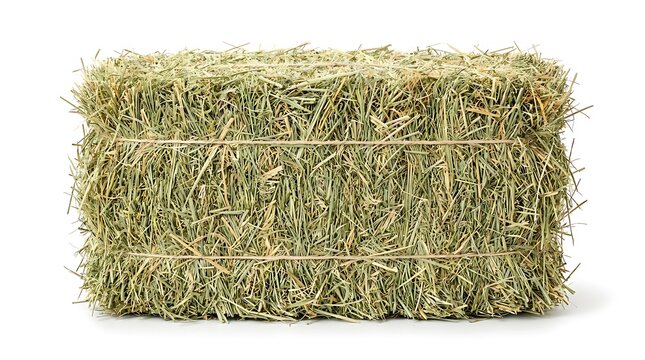 A single rectangular bale of fresh green bermuda hay isolated on a clean white background for agricultural use