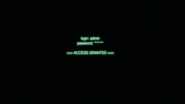 Green Retro Computer Terminal Login Access Granted Message on Black Background