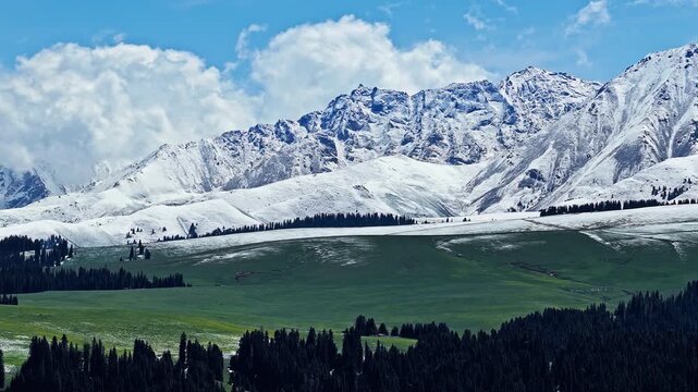 Aerial view of snow-capped mountains, green alpine meadows and forest in Kalajun Grassland, Ili, Xinjiang, China