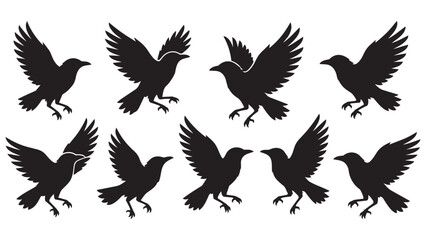 Fototapeta premium Black silhouette crows flying in various dynamic poses