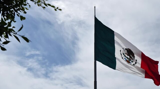 Mexican flag waving in the wind against cloudy sky with tree branch in foreground