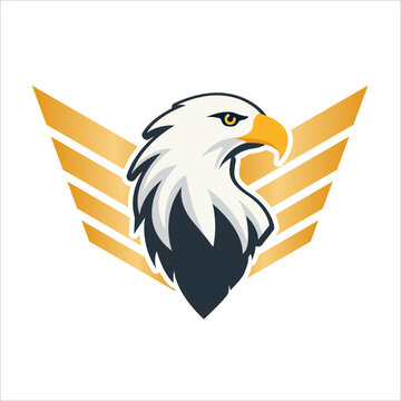 Eagle bird mascot emblem vector illustration graphic isolated template