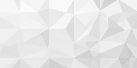 Fototapeta premium abstract light grey white low poly geometric background vector 3d minimalist polygonal triangle paper mesh