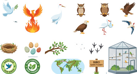 Fototapeta premium Collection of Bird Species and Avian Conservation Vector Illustration Set Including Eagle Owl Phoenix Nest and Migration Map