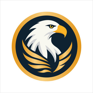 eagle vector illustration