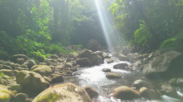 Drone glides along rushing river stream cutting through mossy boulders near Colonaire Falls with sunlight beaming through dense rainforest canopy