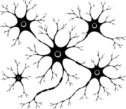 Human neuron cell icon silhouette vector outline and line art