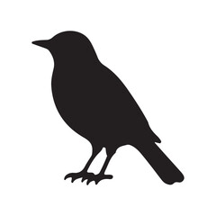 Fototapeta premium Black silhouette of a Nightingale vector illustration