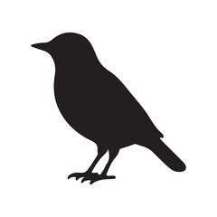 Fototapeta premium Black silhouette of a Nightingale vector illustration