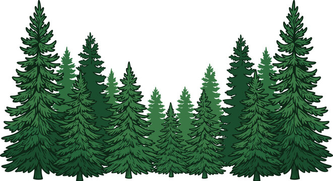 Fir trees silhouettes set.Pine icon vector. Coniferous spruce horizontal background patterns, evergreen woods vector illustration.