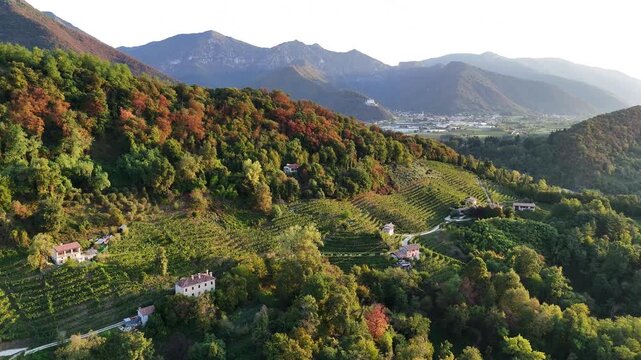 Aerial landscape view over the famous italian prosecco hills, with vineyard rows, at sunrise