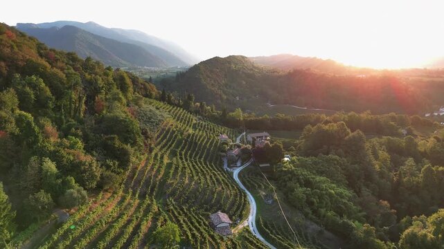 Aerial landscape view over the famous italian prosecco hills, with vineyard rows, at sunrise