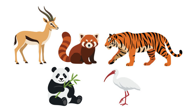 Asian and African wildlife vector icon set containing tiger giant panda red panda gazelle and ibis bird isolated on white background