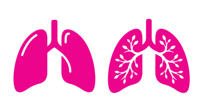 Pink silhouette vector icons comparing normal human lungs with bronchial tree structure respiratory system pulmonary anatomy medical graphic