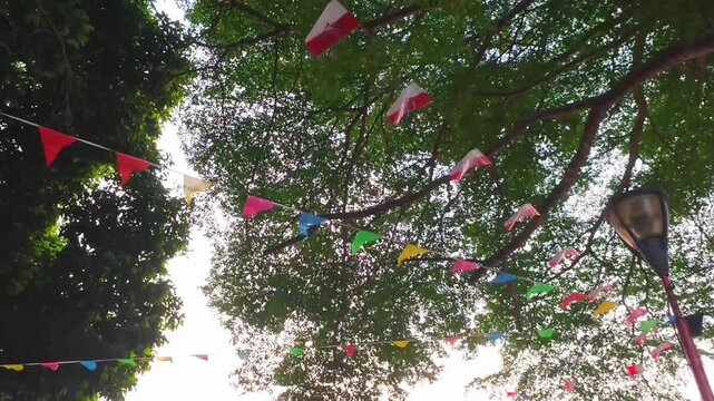 Low angle view colorful bunting flags hanging under lush tree canopy