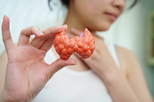 Hyperthyroidism, Overactive Thyroid, Thyroid Lymphoma, Asian woman with thyroid gland human anatomy model.