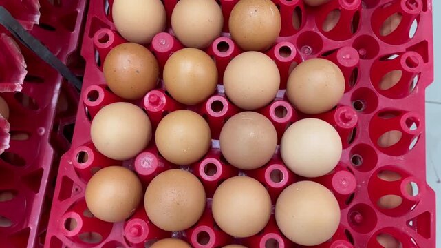 Top view of fresh chicken eggs arranged in red plastic tray