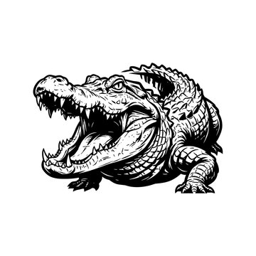 Black and white illustration of a fierce crocodile with open jaws showing sharp teeth on a white background