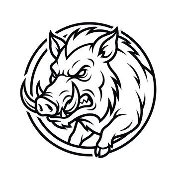 Angry wild boar head mascot emblem vector illustration for sports team logo design