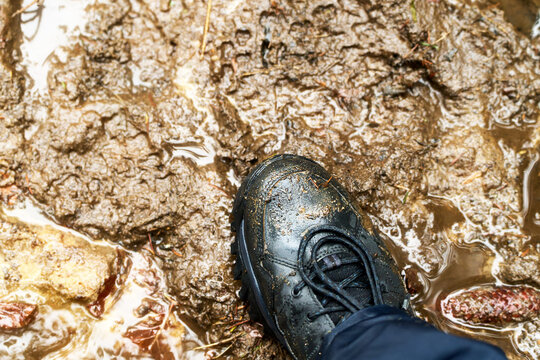 Muddy hiking boot walking through a wet trail