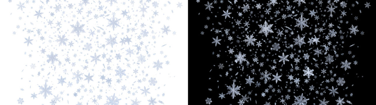 Falling snowflakes drifting gently against dark winter sky perfect for christmas holiday design with PNG, Transparent and Black Background Versions