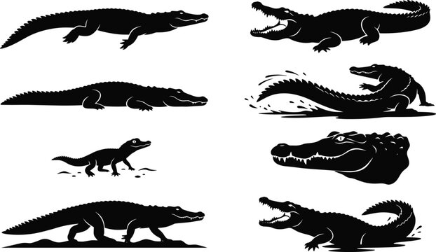Black silhouette vector set of crocodile icons showing animal poses and wildlife behaviors